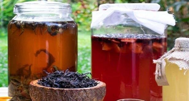نوشیدن چای کامبوچا می تواند به کاهش چربی کمک کند