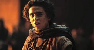 برادران وارنر موفق‌ترین استودیوی سال