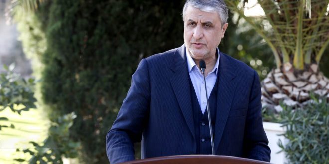 ۱۳۰ بازرس آژانس مجاز به حضور در ایران هستند