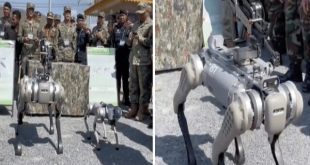 سگ رباتیک نیروی نظامی چین شد