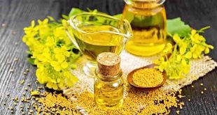 بی‌مهری نسبت به دانه‌های روغنی با وجود واردات حدود ۹۰ درصدی