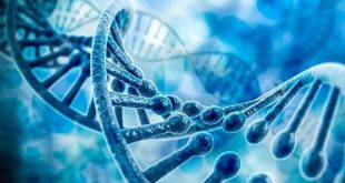 یک شکارچی دقیق برای گیرانداختن DNA سرطان از راه رسید