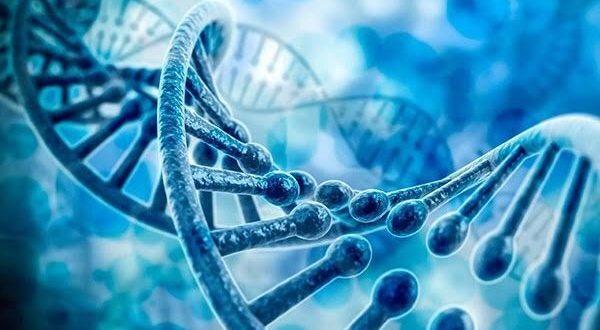 یک شکارچی دقیق برای گیرانداختن DNA سرطان از راه رسید