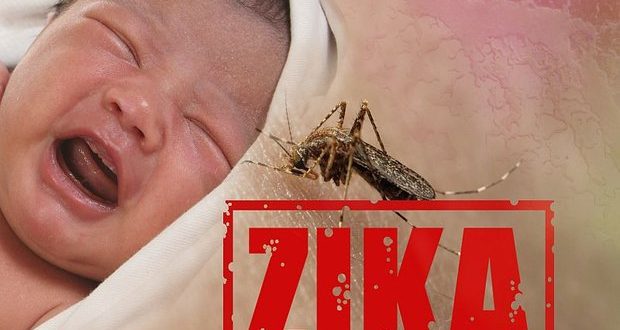 تاثیر ویروس زیکا در بارداری بر سیستم ایمنی کودک