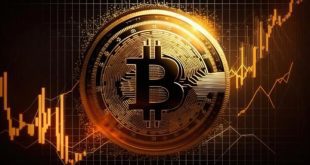 قیمت بیت کوین سقوط کرد