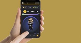 نحوه محاسبه قیمت همستر کامبت