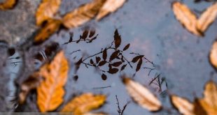 وضعیت دما و بارش کشور تا اوایل مهر