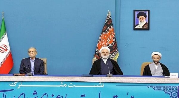 قوه قضائیه برای رفع دغدغه‌های مردم همواره در کنار دولت خواهد بود