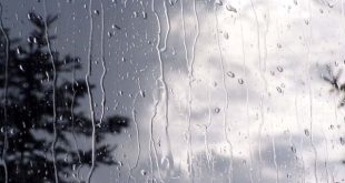 باد و باران در برخی استان‌ها