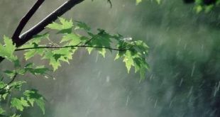 بارش و رعد و برق در برخی استان‌های کشور