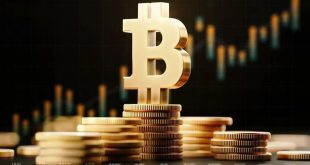 بیت‌کوین چقدر رشد کرد؟