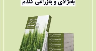 اصلاح نژادی گندم، تولید گندم سازگار با گرما و بهبود خواص تغذیه‌ای گندم 