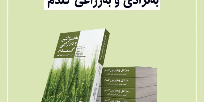 اصلاح نژادی گندم، تولید گندم سازگار با گرما و بهبود خواص تغذیه‌ای گندم 