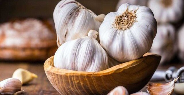 سیر چه خواصی دارد؟