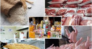 قیمت کله‌وپاچه گوسفندی از گوشت قرمز پیشی گرفت