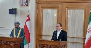 خواهان آرامش، ثبات و تشکیل دولتی فراگیر در سوریه هستیم