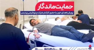 حمایت ماندگار
