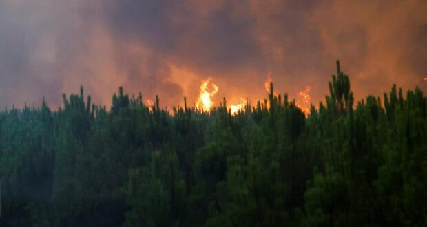 دود آتش سوزی خطر زوال عقل را افزایش می‌دهد