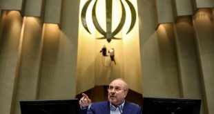 مجلس و دولت مصمم به ایجاد ثبات در بازار ارز هستند