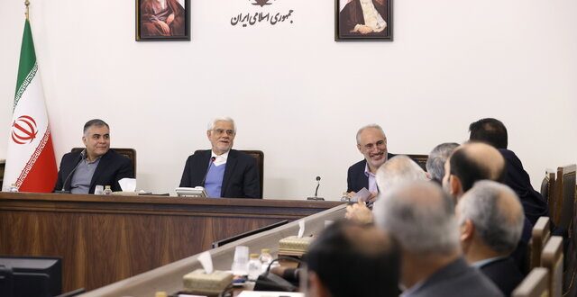 راهبرد دولت، توسعه میادین مشترک نفتی است