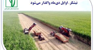 «نیشکر» اوایل دی‌ماه واگذار می‌شود