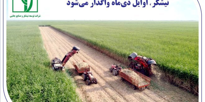 «نیشکر» اوایل دی‌ماه واگذار می‌شود