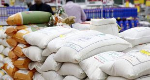 لزوم عادلانه شدن فرایند واردات برنج