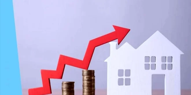 تورم مسکن در دی ماه افزایش یافت
