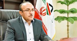 ترخیص بیش از ۴۱ هزار خودرو از گمرک در ۱۰ ماه