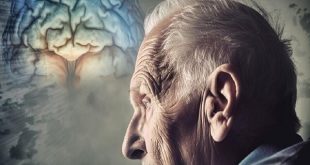 ابزار کلیدی برای جلوگیری از زوال عقل