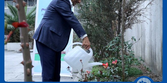 مدیران بانک تجارت نهال دوستی کاشتند