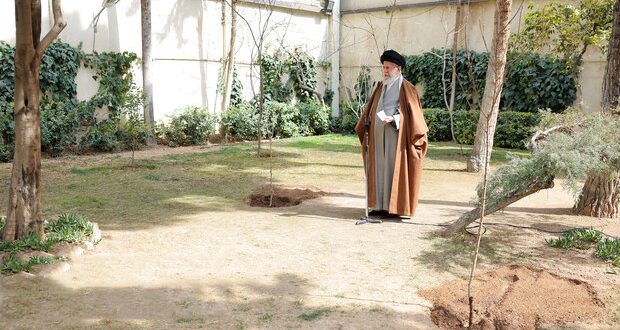 نهضت ملی درختکاری جدی گرفته شود و ادامه یابد