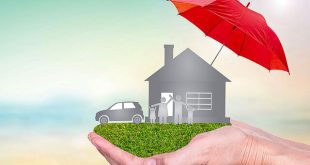 کدام رشته بیمه در صدر قرار دارد؟