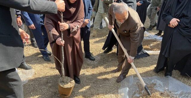 وزیر آموزش و پرورش «سنجد» کاشت