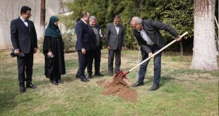 مردم با مشارکت در کاشت درخت به بهبود محیط زیست کشور کمک کنند