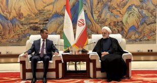 تعامل منطقه‌ای و همسایگی برای مقابله با چالش‌ها یک اصل اساسی است