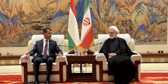 تعامل منطقه‌ای و همسایگی برای مقابله با چالش‌ها یک اصل اساسی است