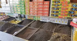 افزایش قیمت چای وارداتی در برابر رکود چای ایرانی