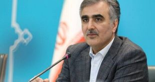 سیاست بانک مرکزی تثبیت نرخ ارز است