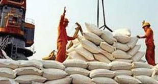 کانتینرهای کالاهای اساسی در انفجار بندر رجایی نبودند