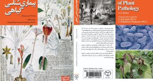 ضرورت آشنایی و نبرد با بیماری‌های گیاهی
