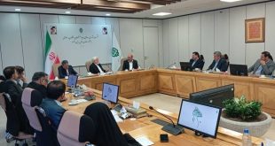 بنیاد مستضعفان رقیب دولت نیست