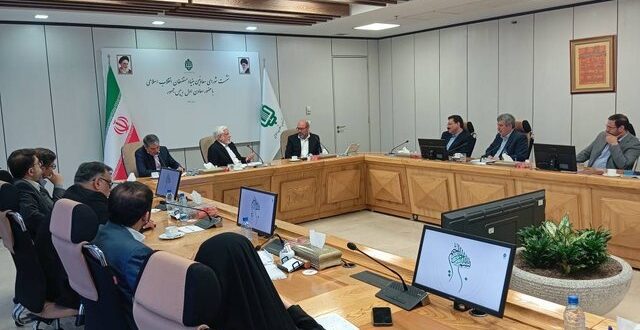 بنیاد مستضعفان رقیب دولت نیست