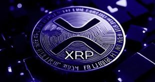 آخرین وضعیت بازار رمزارزها در جهان/ ریپل گل کاشت