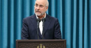 مجلس به دولت در پیشبرد مذاکرات کمک می‌کند