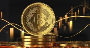 عبور بین کوین از قله ۱۰۹ هزار دلاری