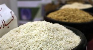 اعمال سیاست‌های جدید دولت برای تنظیم بازار برنج داخلی