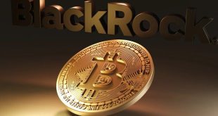 آخرین وضعیت بازار رمزارزها در جهان