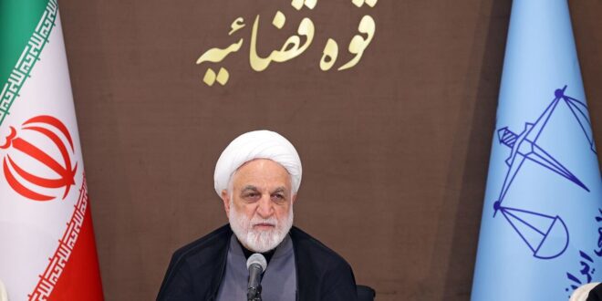 قوه قضاییه برای کمک به دولت در رفع مسائل و مشکلات مردم مجاهدت می‌کند