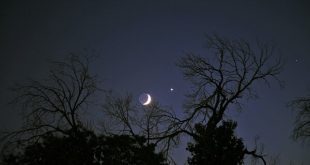 بزم سیارات در آسمان صبحگاهی ۲۹ مرداد؛ زهره، مشتری و ماه در یک قاب
